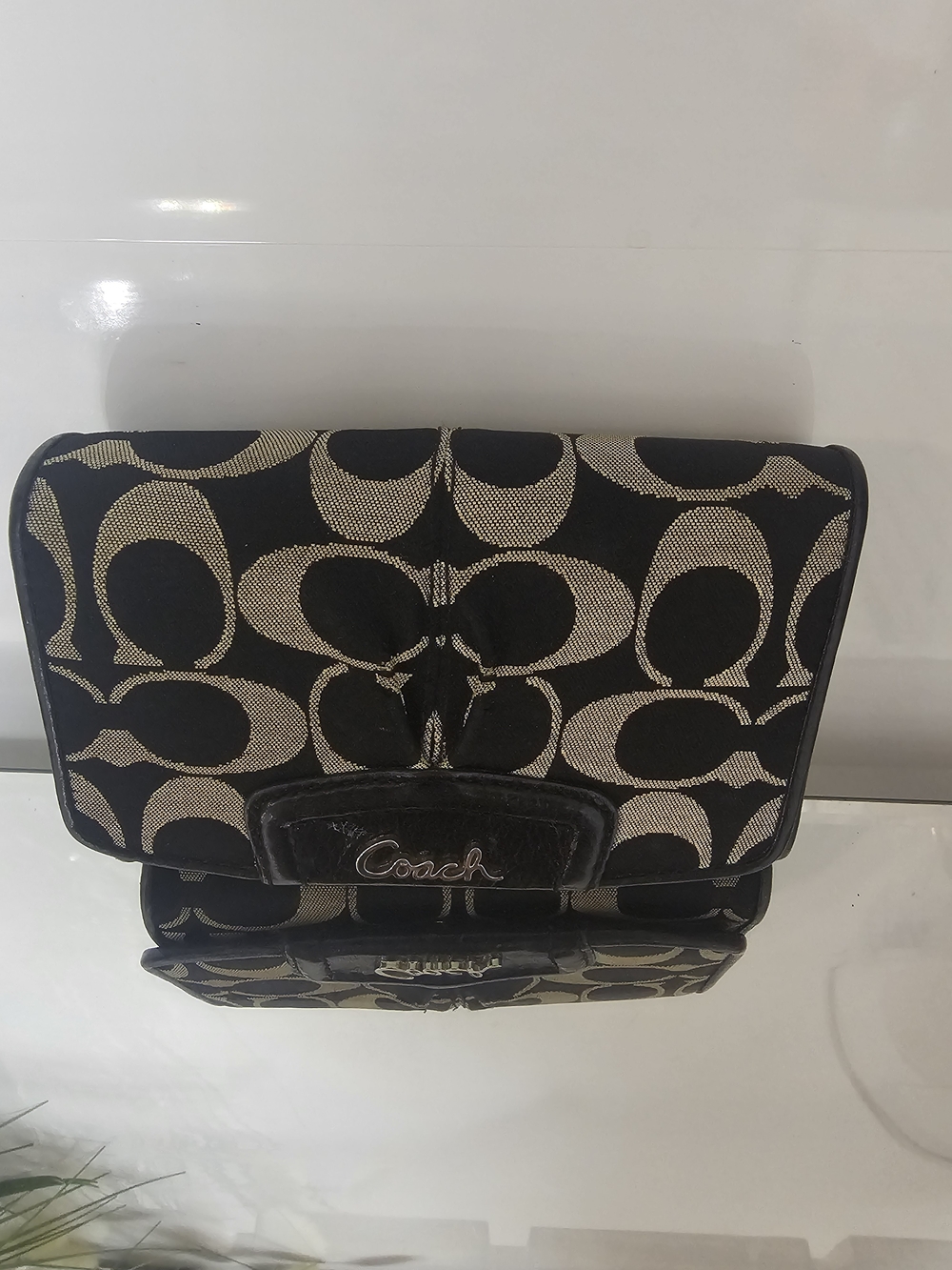 Coach Signature Canvas Crossbody in Black & Tan